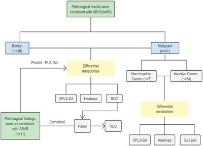 Metabolic reprogramming enables the auxiliary diagnosis of breast cancer by automated breast volume scanner